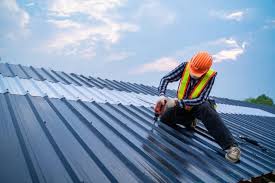 Best Roof Maintenance and Cleaning  in Lake Royale, NC